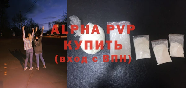 спайс Богданович