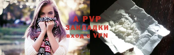 спайс Богданович
