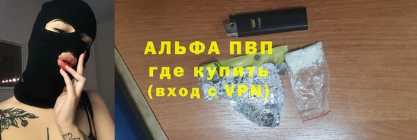 спайс Богданович