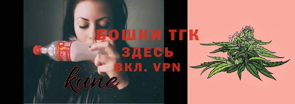 спайс Богданович