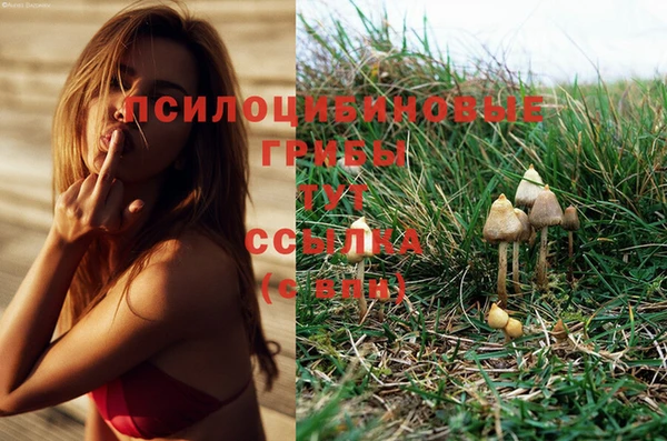 а пвп мука Богородицк