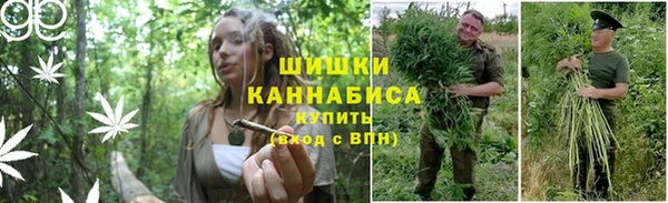 спайс Богданович