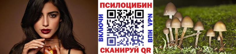 Псилоцибиновые грибы Psilocybe  Пыть-Ях 